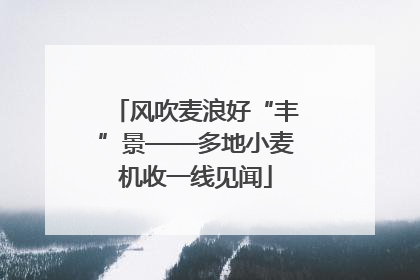 风吹麦浪好“丰”景——多地小麦机收一线见闻