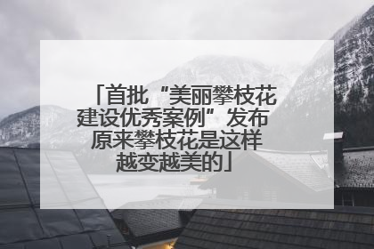 首批“美丽攀枝花建设优秀案例”发布 原来攀枝花是这样越变越美的