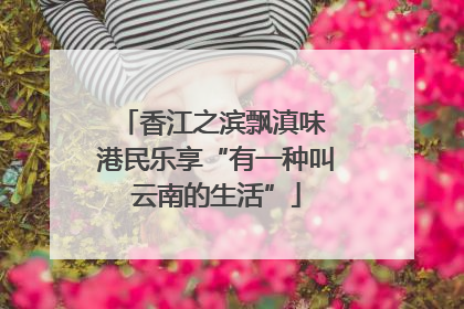 香江之滨飘滇味 港民乐享“有一种叫云南的生活”