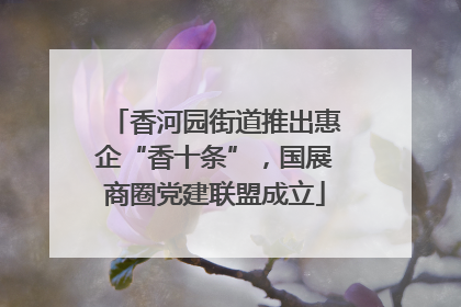 香河园街道推出惠企“香十条”，国展商圈党建联盟成立
