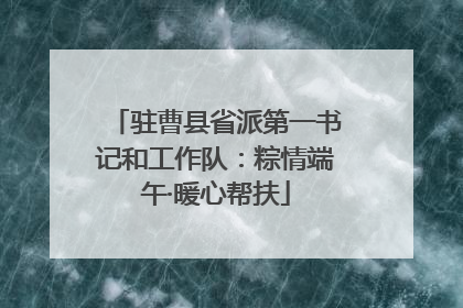 驻曹县省派第一书记和工作队：粽情端午·暖心帮扶