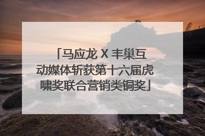 马应龙 X 丰巢互动媒体斩获第十六届虎啸奖联合营销类铜奖