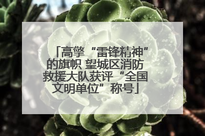 高擎“雷锋精神”的旗帜 望城区消防救援大队获评“全国文明单位”称号