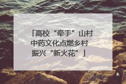 高校“牵手”山村 中药文化点燃乡村振兴“新火花”