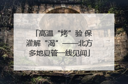 高温“烤”验 保灌解“渴”——北方多地夏管一线见闻