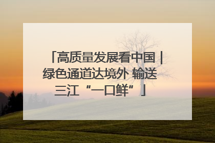 高质量发展看中国｜绿色通道达境外 输送三江“一口鲜”
