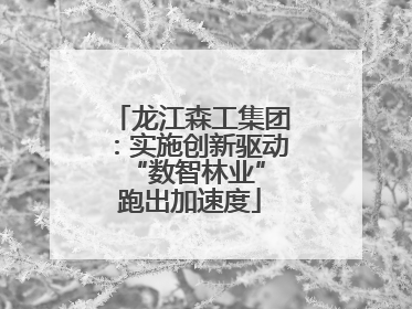 龙江森工集团：实施创新驱动 “数智林业”跑出加速度