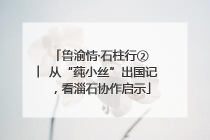 鲁渝情·石柱行② ︳从“莼小丝”出国记，看淄石协作启示