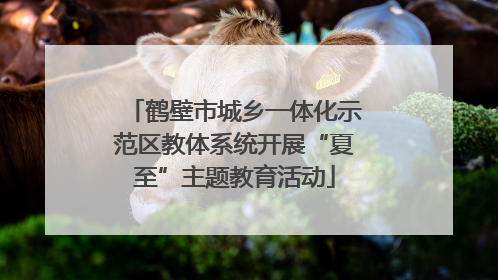 鹤壁市城乡一体化示范区教体系统开展“夏至”主题教育活动