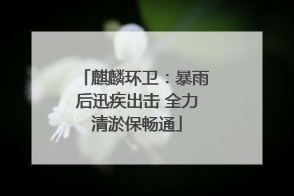 麒麟环卫：暴雨后迅疾出击 全力清淤保畅通