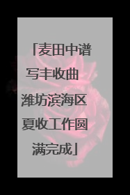 麦田中谱写丰收曲 潍坊滨海区夏收工作圆满完成