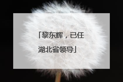 黎东辉，已任湖北省领导