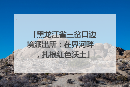 黑龙江省三岔口边境派出所：在界河畔，扎根红色沃土