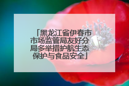 黑龙江省伊春市市场监管局友好分局多举措护航生态保护与食品安全