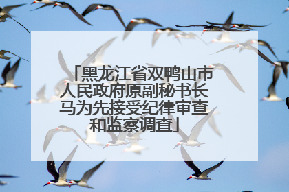 黑龙江省双鸭山市人民政府原副秘书长马为先接受纪律审查和监察调查