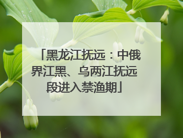 黑龙江抚远：中俄界江黑、乌两江抚远段进入禁渔期