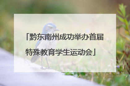 黔东南州成功举办首届特殊教育学生运动会