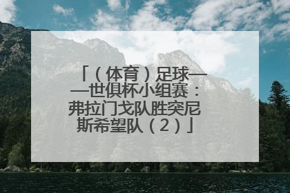 （体育）足球——世俱杯小组赛：弗拉门戈队胜突尼斯希望队（2）