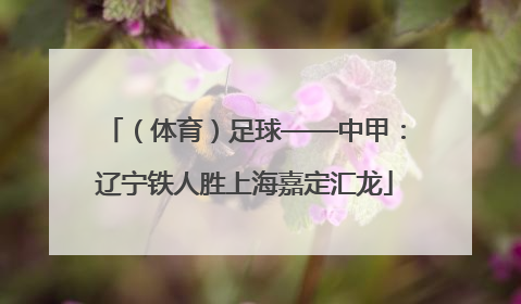 （体育）足球——中甲：辽宁铁人胜上海嘉定汇龙