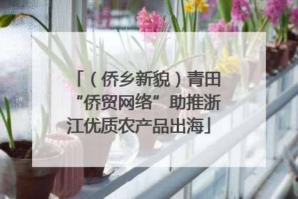 （侨乡新貌）青田“侨贸网络”助推浙江优质农产品出海