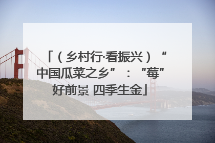 （乡村行·看振兴）“中国瓜菜之乡”：“莓”好前景 四季生金