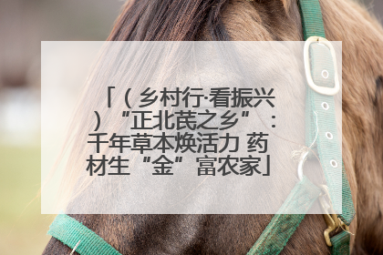 （乡村行·看振兴）“正北芪之乡”：千年草本焕活力 药材生“金”富农家