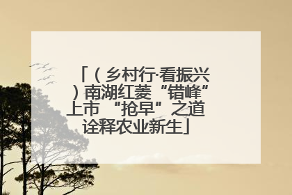 （乡村行·看振兴）南湖红菱“错峰”上市 “抢早”之道诠释农业新生