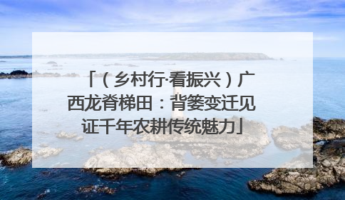 （乡村行·看振兴）广西龙脊梯田：背篓变迁见证千年农耕传统魅力