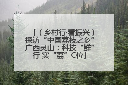 （乡村行·看振兴）探访“中国荔枝之乡”广西灵山：科技“鲜”行 实“荔”C位
