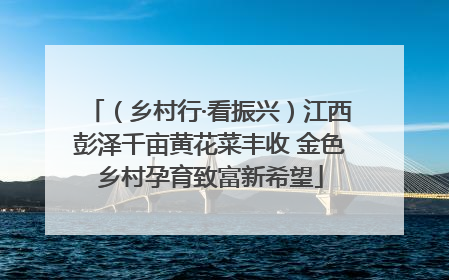 （乡村行·看振兴）江西彭泽千亩黄花菜丰收 金色乡村孕育致富新希望