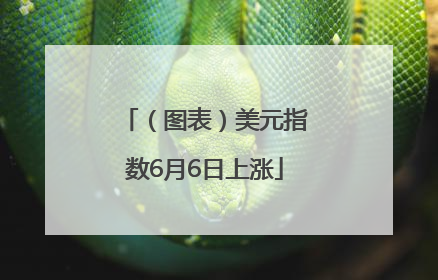 （图表）美元指数6月6日上涨
