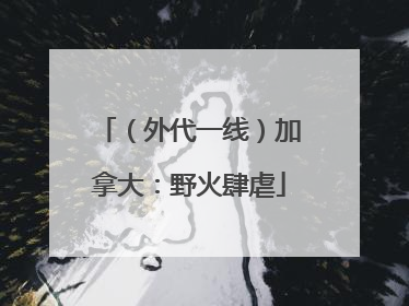 （外代一线）加拿大：野火肆虐