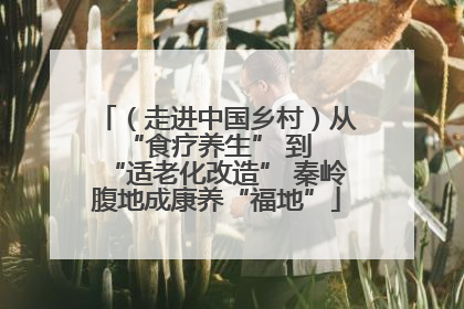 （走进中国乡村）从 “食疗养生” 到 “适老化改造” 秦岭腹地成康养“福地”