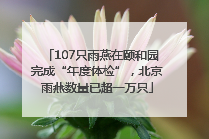 107只雨燕在颐和园完成“年度体检”，北京雨燕数量已超一万只