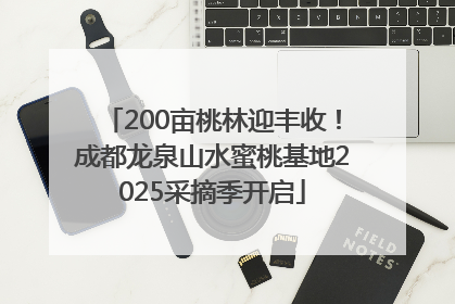 200亩桃林迎丰收！成都龙泉山水蜜桃基地2025采摘季开启