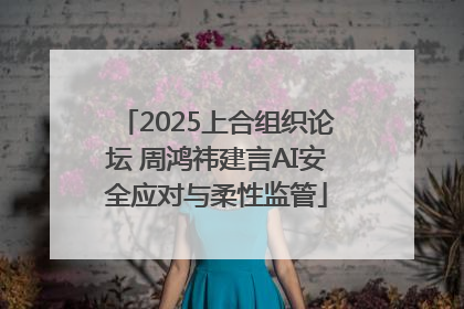 2025上合组织论坛 周鸿祎建言AI安全应对与柔性监管