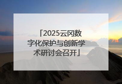 2025云冈数字化保护与创新学术研讨会召开