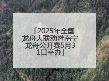 2025年全国龙舟大联动暨南宁龙舟公开赛5月31日举办