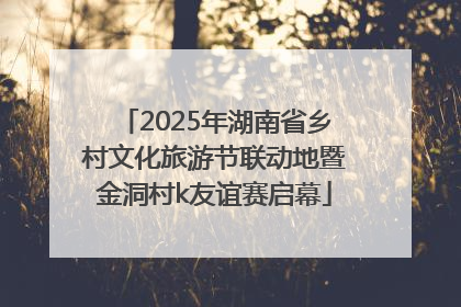 2025年湖南省乡村文化旅游节联动地暨金洞村k友谊赛启幕