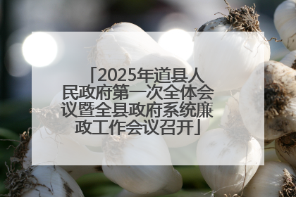 2025年道县人民政府第一次全体会议暨全县政府系统廉政工作会议召开
