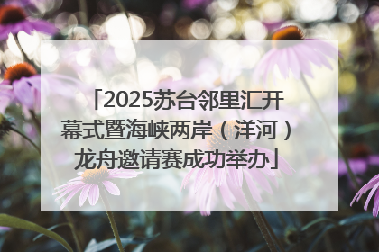 2025苏台邻里汇开幕式暨海峡两岸（洋河）龙舟邀请赛成功举办