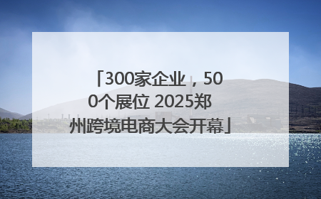 300家企业，500个展位 2025郑州跨境电商大会开幕