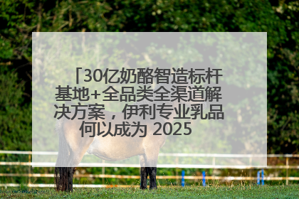 30亿奶酪智造标杆基地+全品类全渠道解决方案，伊利专业乳品何以成为 2025 焙烤展 MV