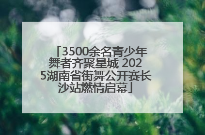 3500余名青少年舞者齐聚星城 2025湖南省街舞公开赛长沙站燃情启幕