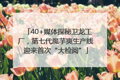 40+媒体探秘卫龙工厂，第七代魔芋爽生产线迎来首次“大检阅”