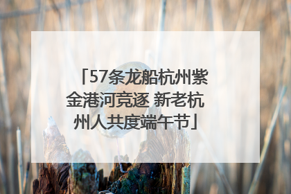 57条龙船杭州紫金港河竞逐 新老杭州人共度端午节