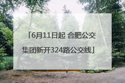 6月11日起 合肥公交集团新开324路公交线