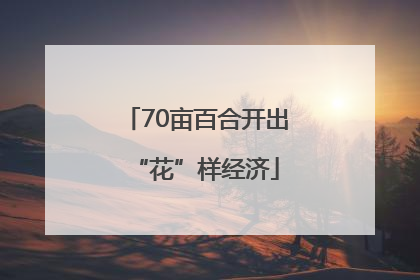 70亩百合开出“花”样经济