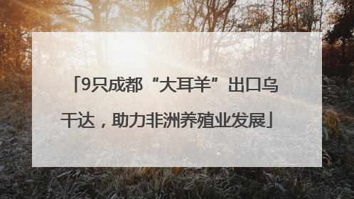 9只成都“大耳羊”出口乌干达，助力非洲养殖业发展