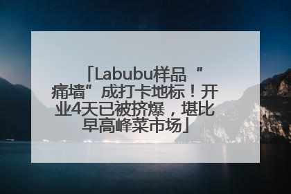 Labubu样品“痛墙”成打卡地标！开业4天已被挤爆，堪比早高峰菜市场